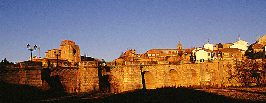Carrión de Los Condes, Castilla y León