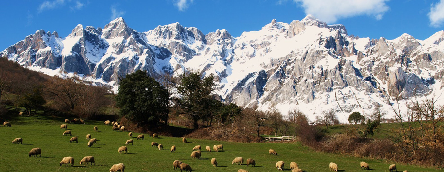 Picos de Europa National Park, Asturias